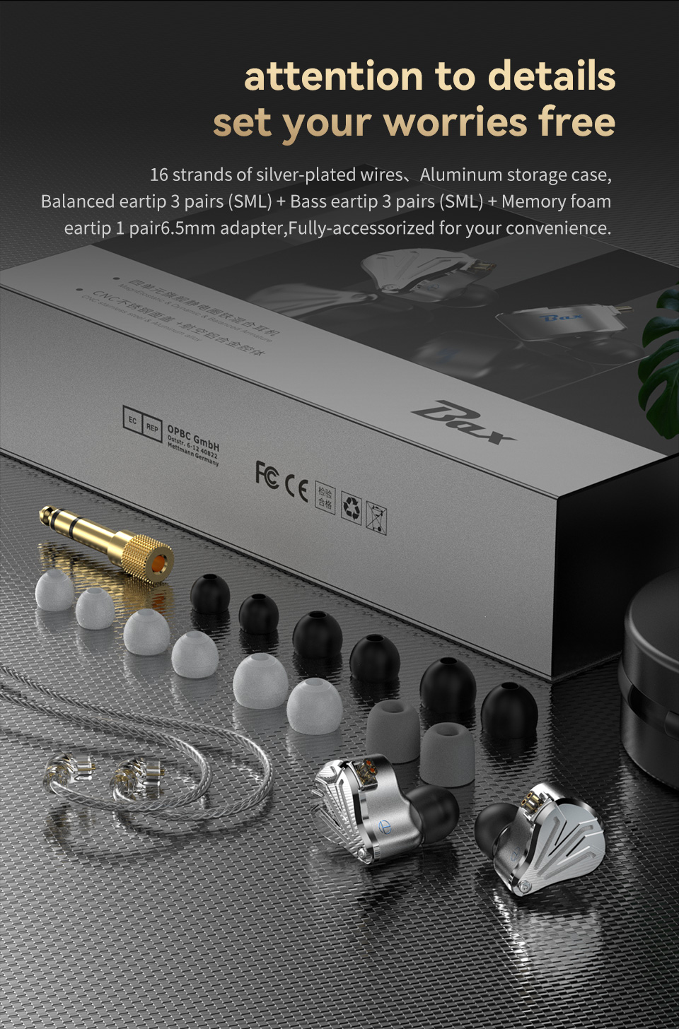 BAX-英文_10.jpg